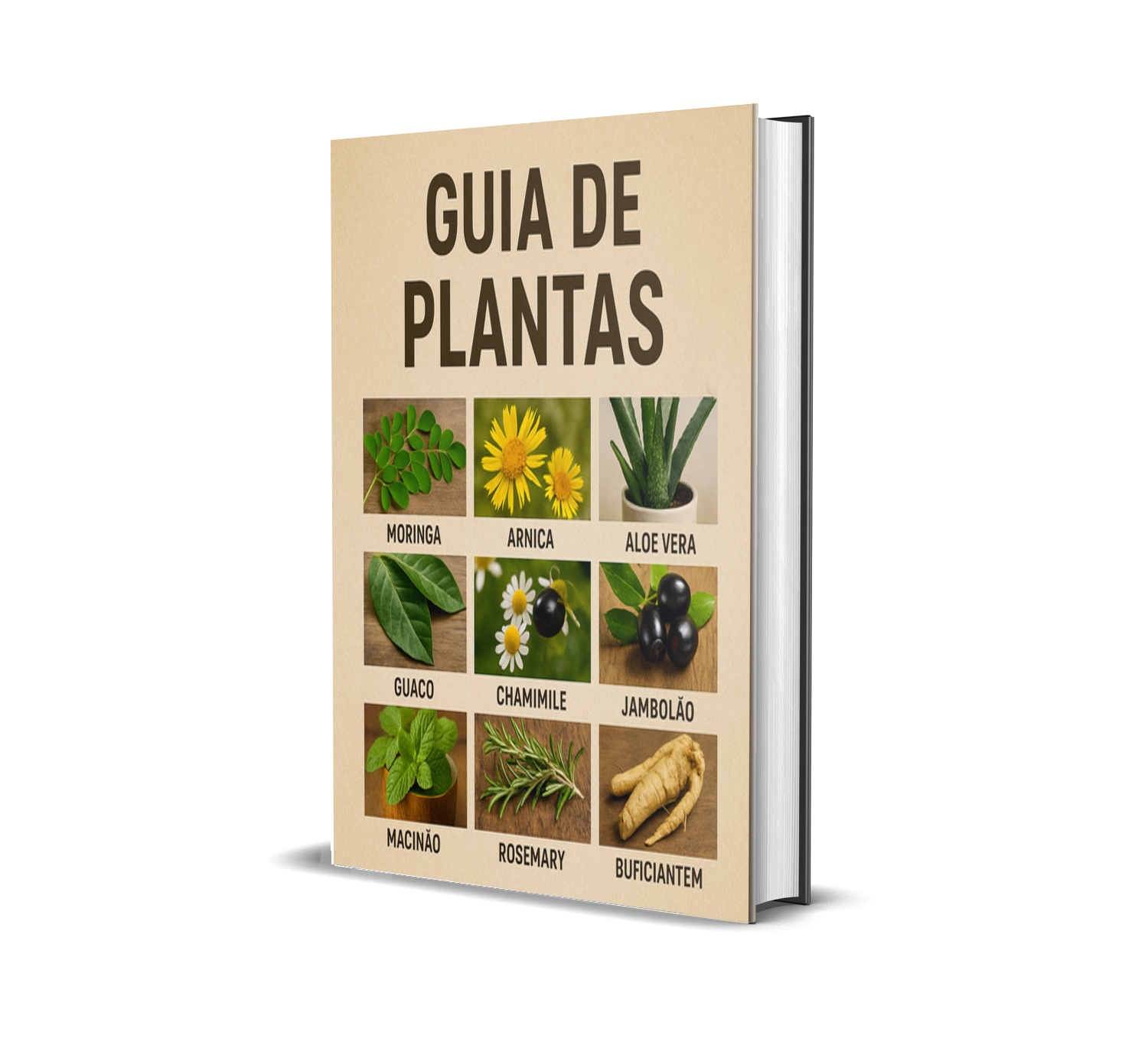 Guia de Plantas