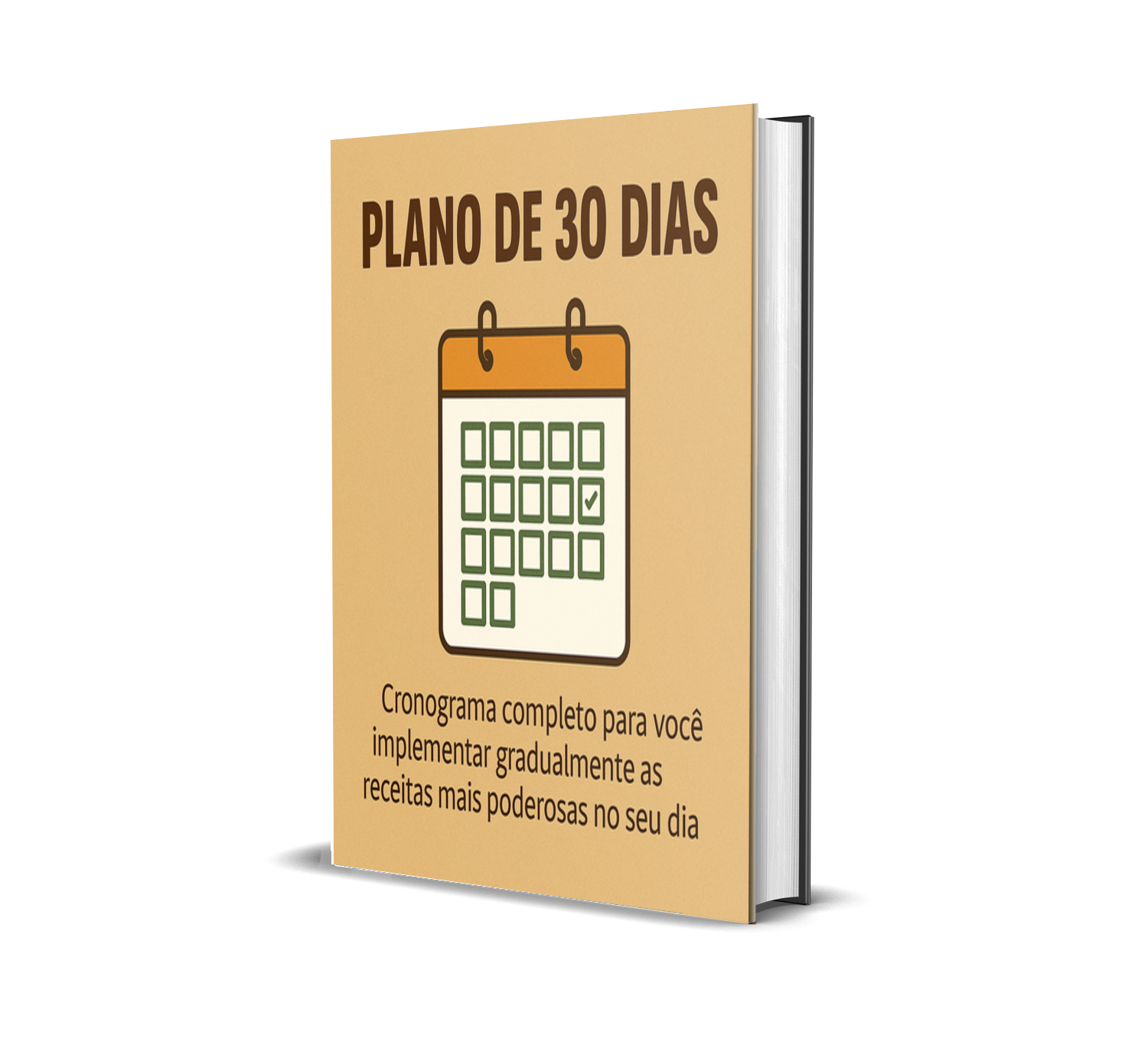 Plano de 30 Dias